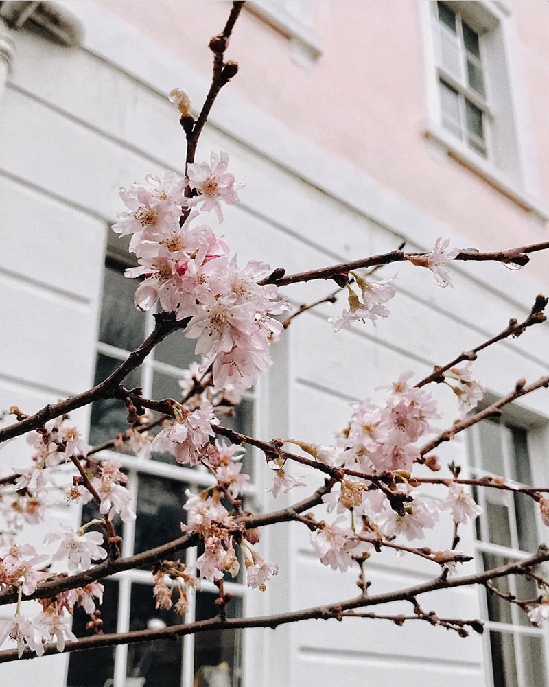 Colour Story: Dusky Pinks for Springtime in Spain