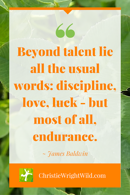 "Beyond talent lie all the usual words: discipline, love, luck - but most of all, endurance." ~James Baldwin | famous writer quotes | writing inspiration | author advice | tips