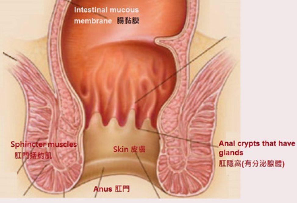 Deep inside anus itching