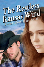 The Restless Kansas Wind
