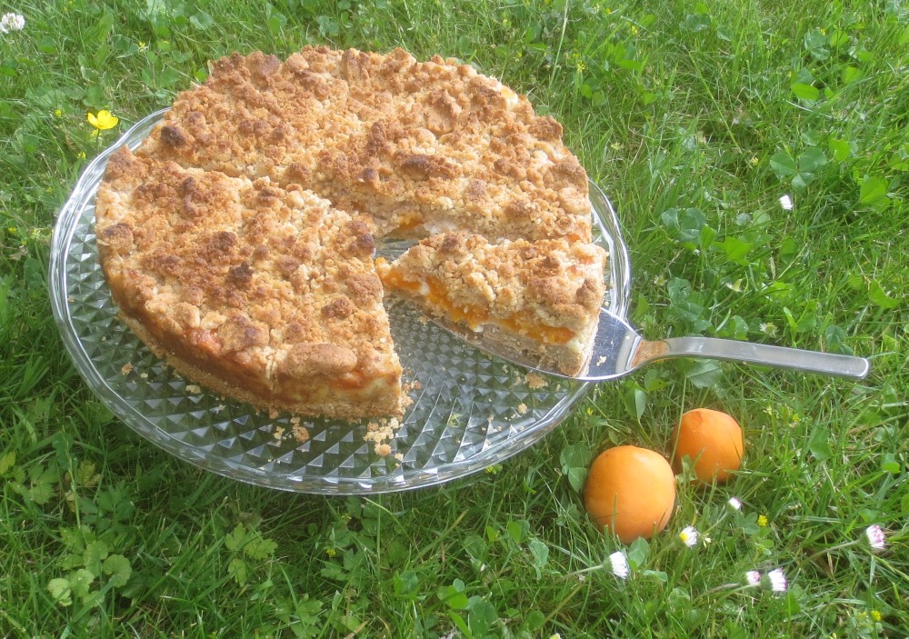 Barbaras Spielwiese: Aprikosen-Streusel-Kuchen