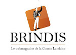 Le site BRINDIS.TV