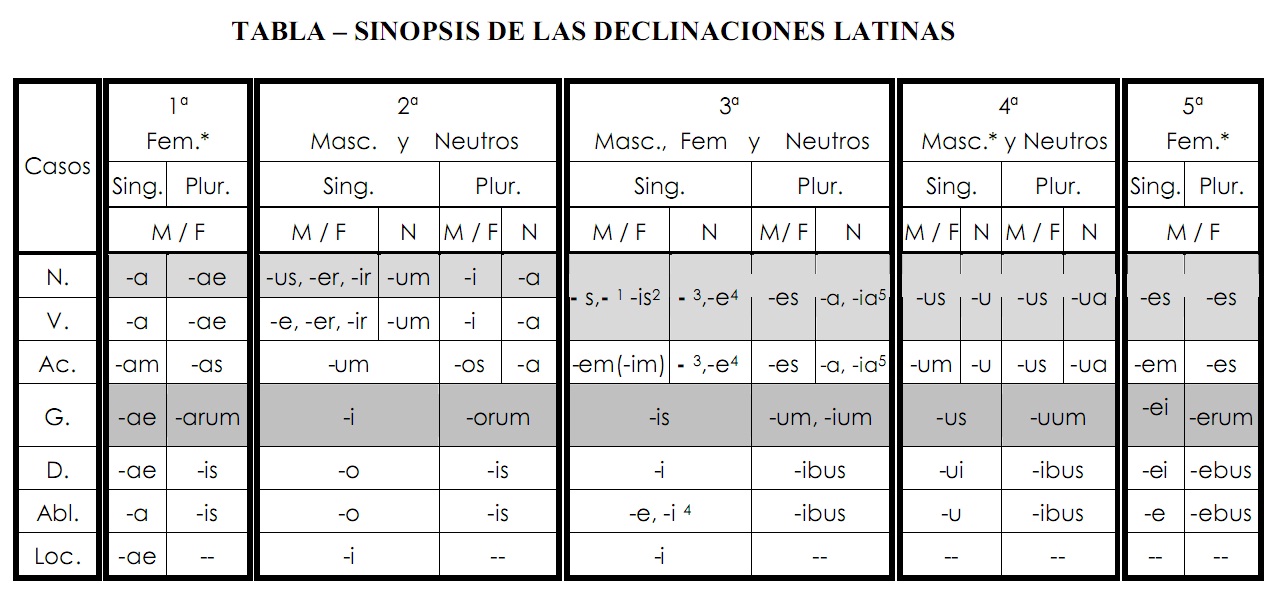 Quinta Declinacion Latin Frases 116