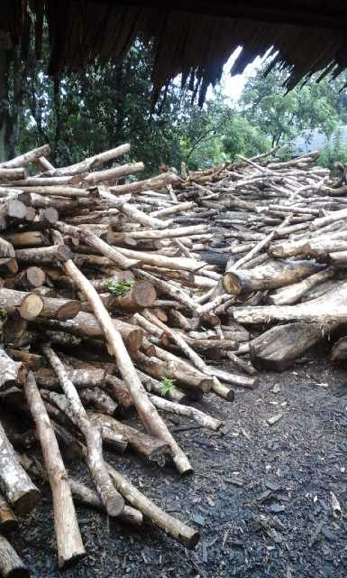 ARANG KAYU KALIMANTAN: DAPUR ARANG DAN STOK KAYU ALABAN, HUTAN