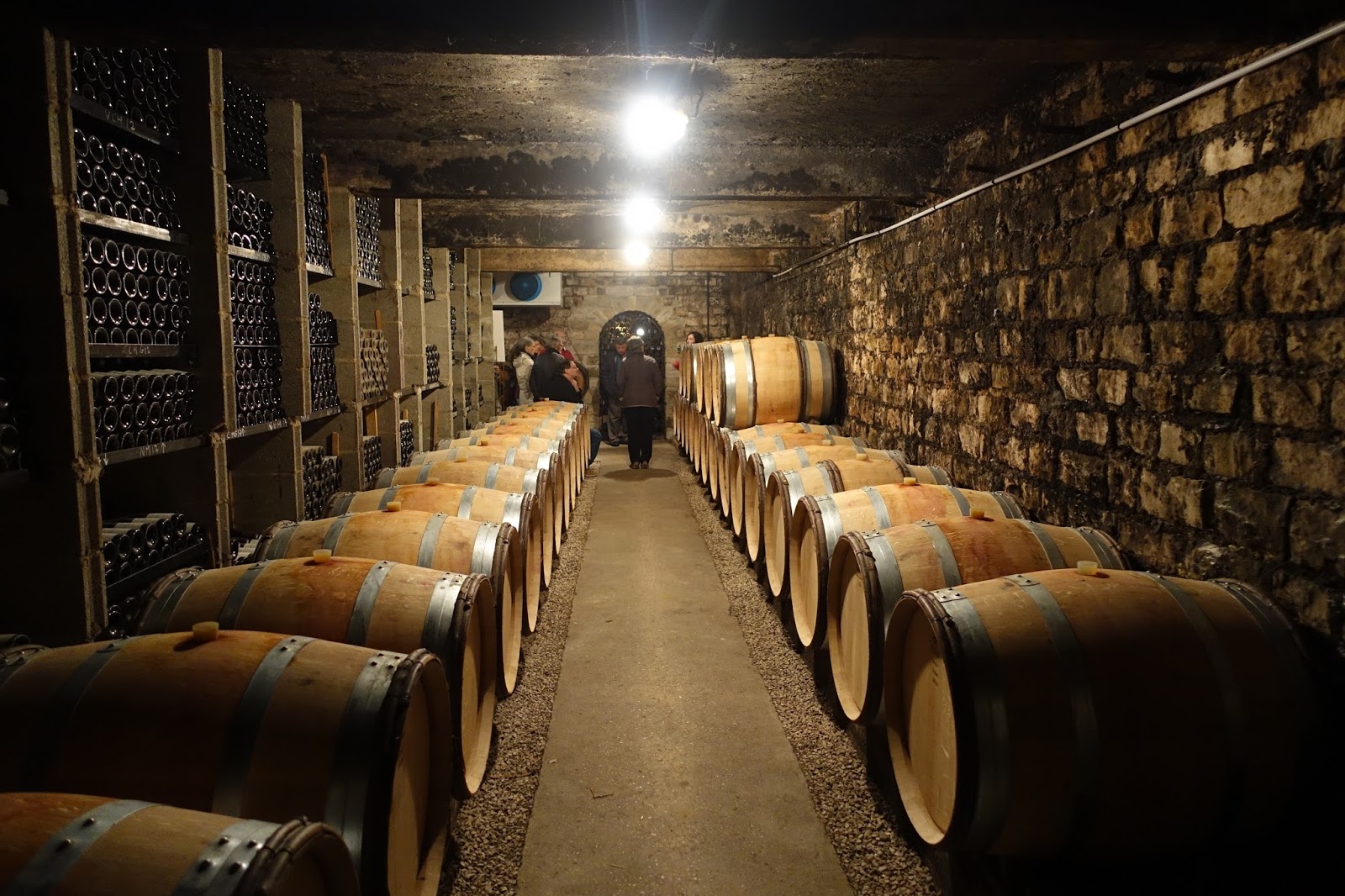 wine cellar tour