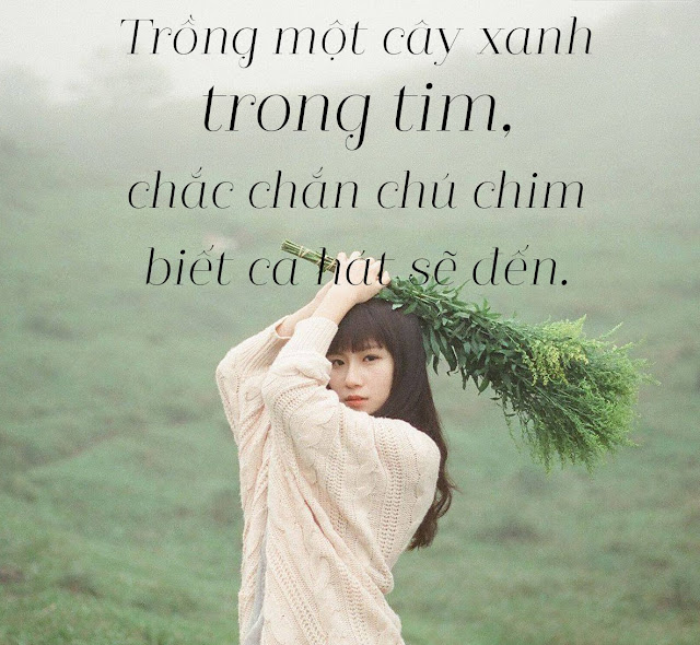 GÓC SUY NGẪM | ngam.com.vn