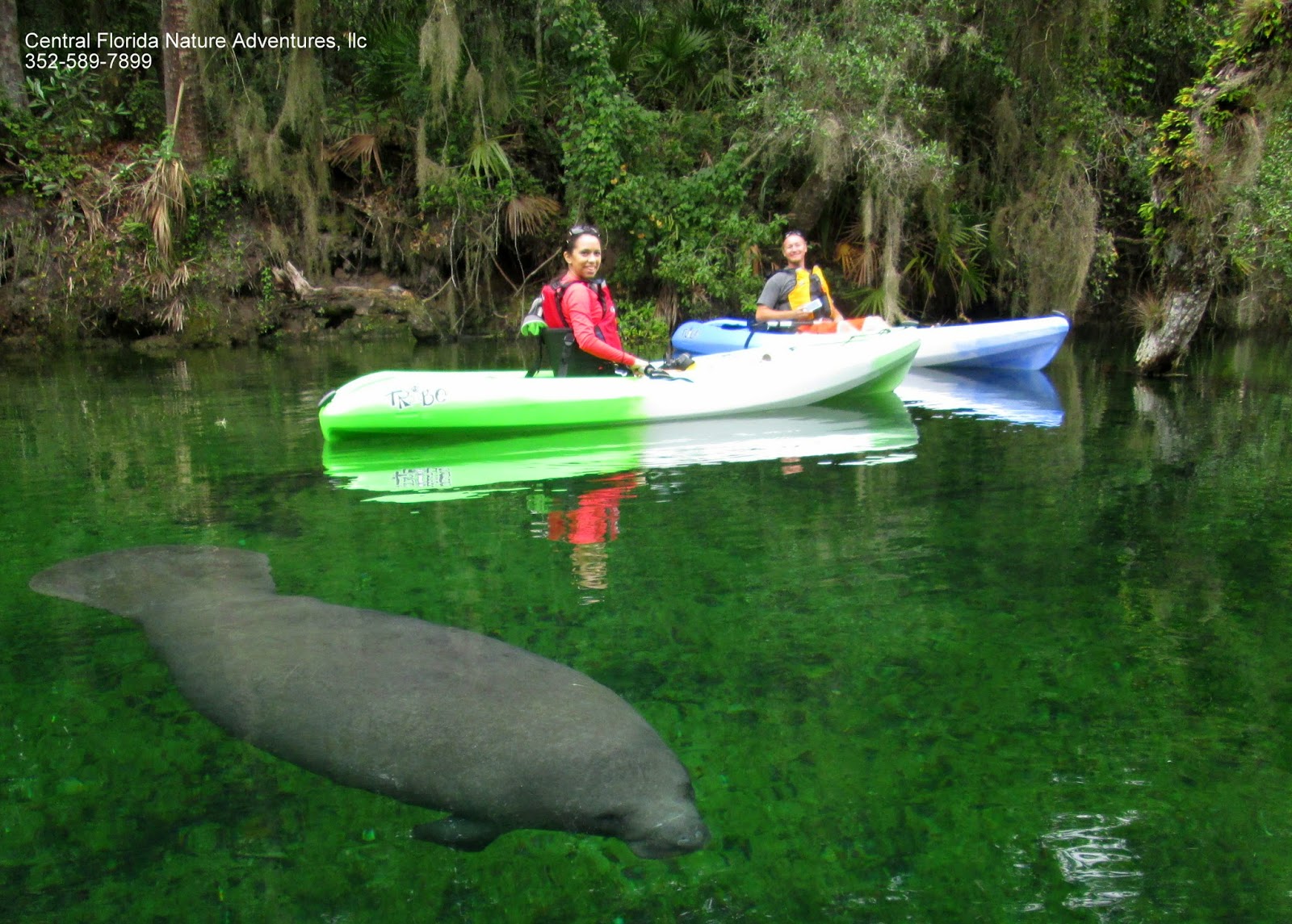 Crystal River Preserve Boat Tour Crystal River Preserve Boat Tour