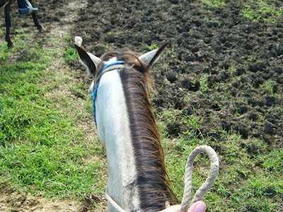 Kopfkino, Kuba, Reisen, Urlaub, Trinidad, Backpacker, Reiten, Ausritt