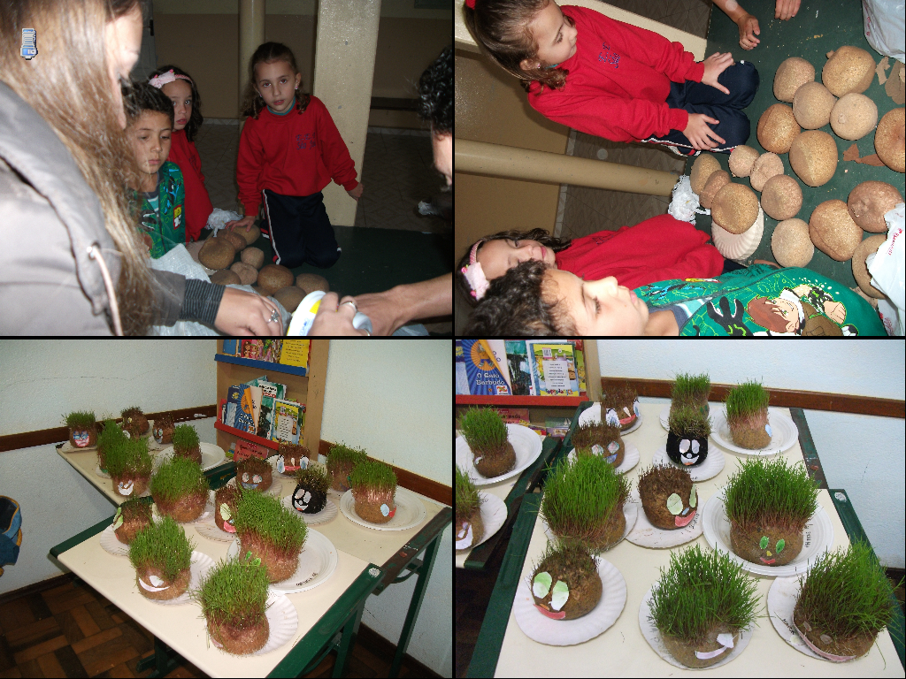 Escola de Educação Básica São João : Projeto sobre as Plantas