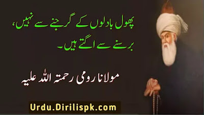 Rumi Quotes in Urdu