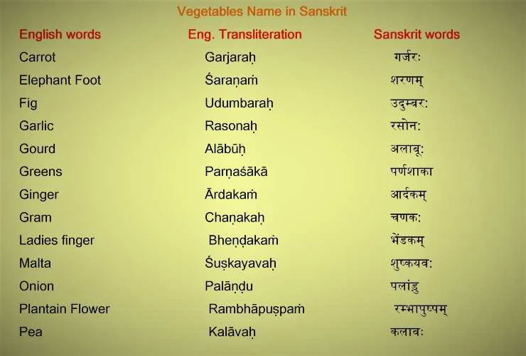 Vegetables Name In Sanskrit-2