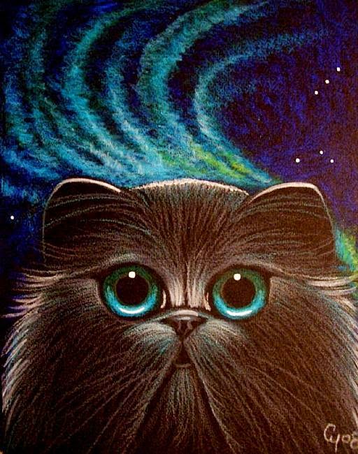 Pati Dokunuşu Kedi çizimleri