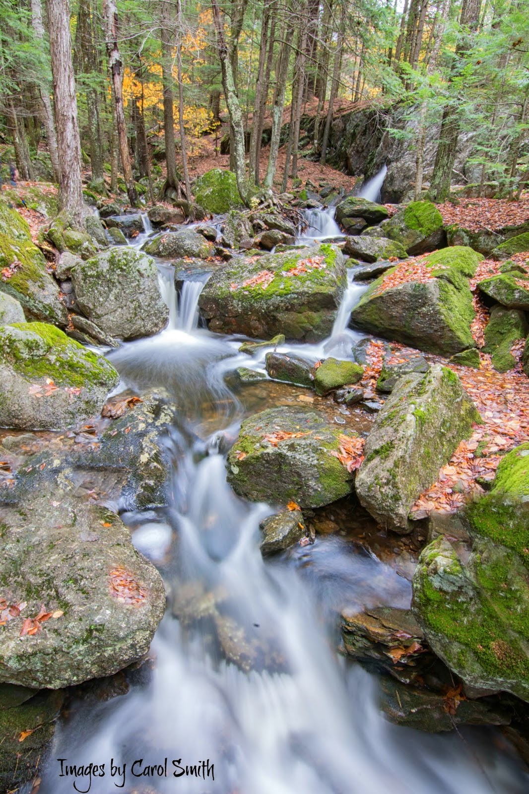 Carol's View Of New England Porcupine Falls Gilsum NH