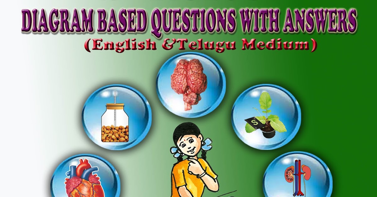 class 10th bio question answer