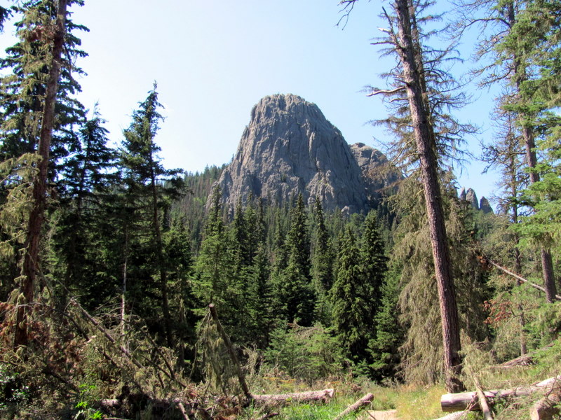 Running Down Our Dream: Custer State Park