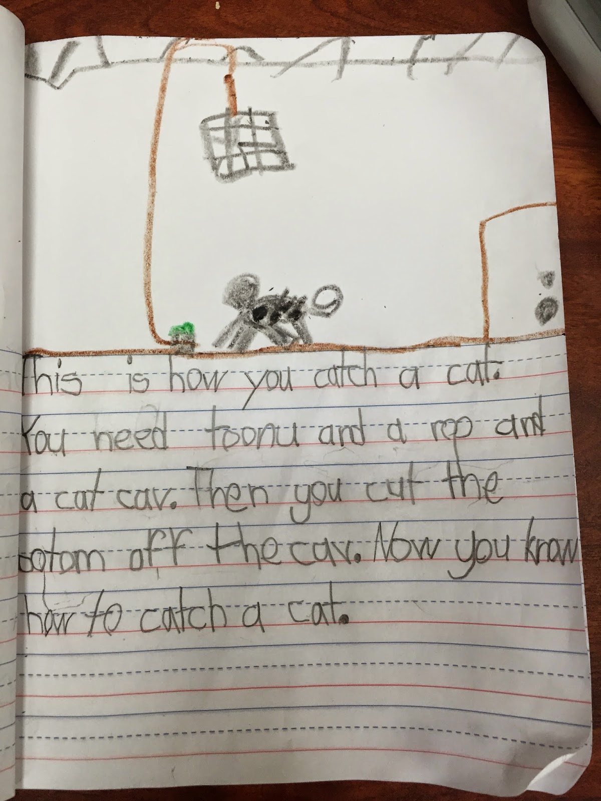 Cat Catching 101 - The First Grade Roundup
