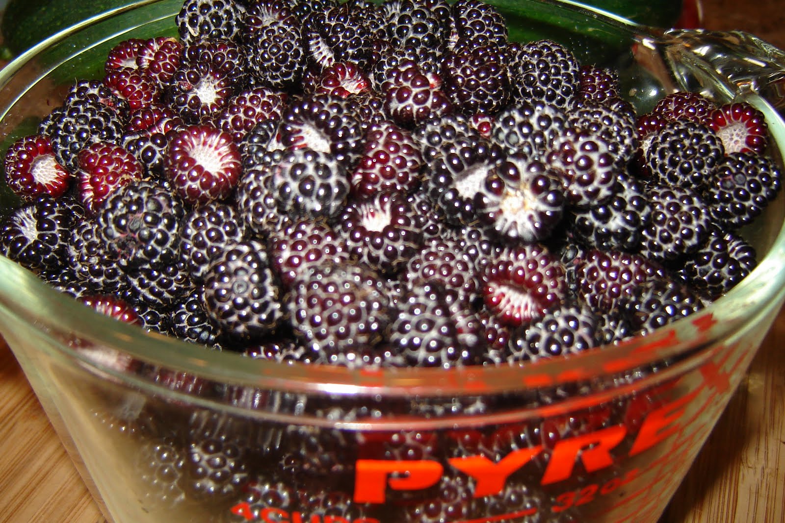 My Vegan Experiment Blackberry Jelly