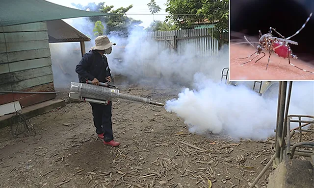 Fumigarán cerca de 24 mil viviendas para combatir dengue en Madre de Dios