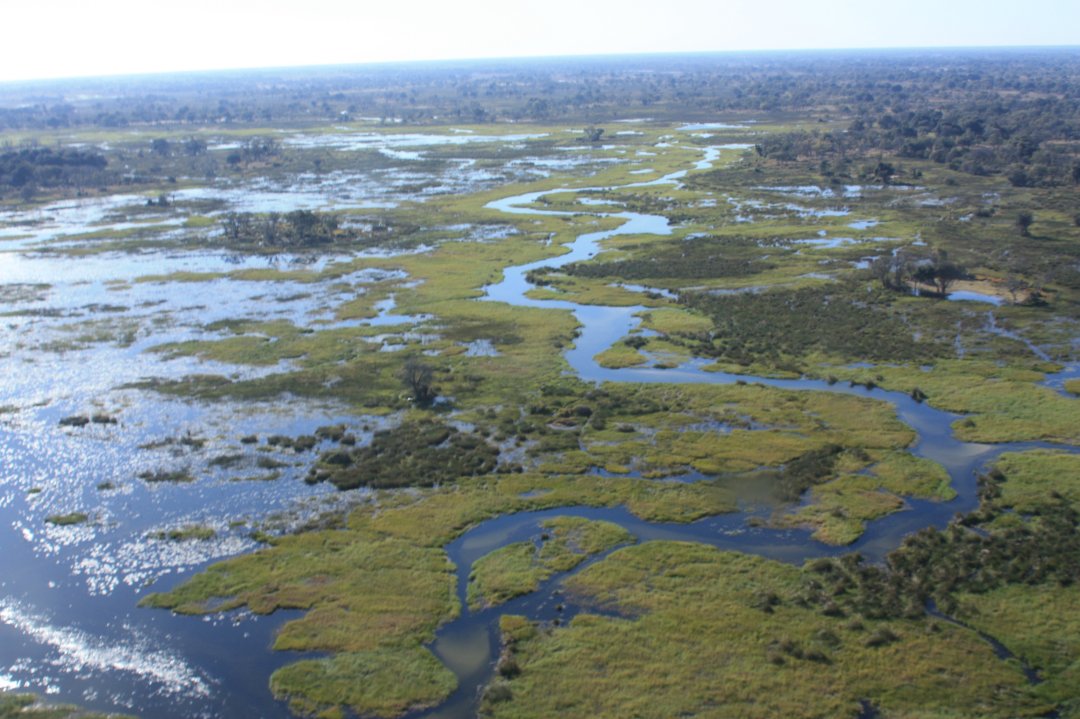 Adventures in Africa: Okavango Delta, Botswana