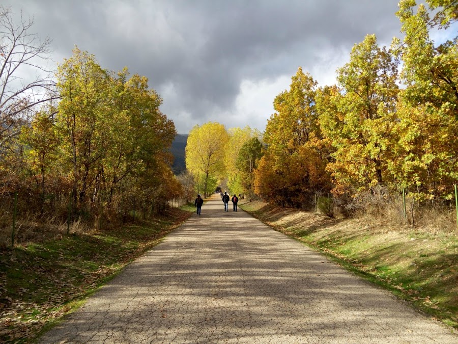 Paseo-hacia-monasterio-de-el-Paular