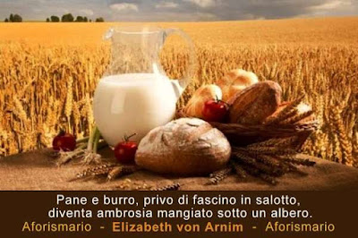 Aforismario Aforismi Frasi E Proverbi Sul Pane