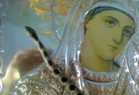 Η ιστορία πίσω από το θαύμα με τα φιδάκια