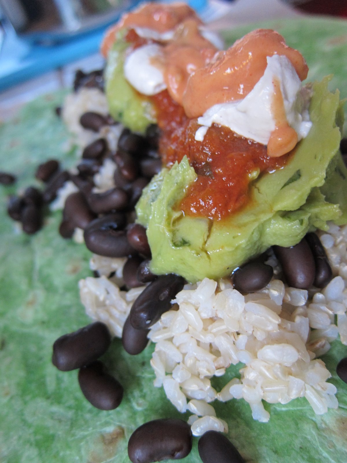 WholeFoodVegan Mission Style Burrito