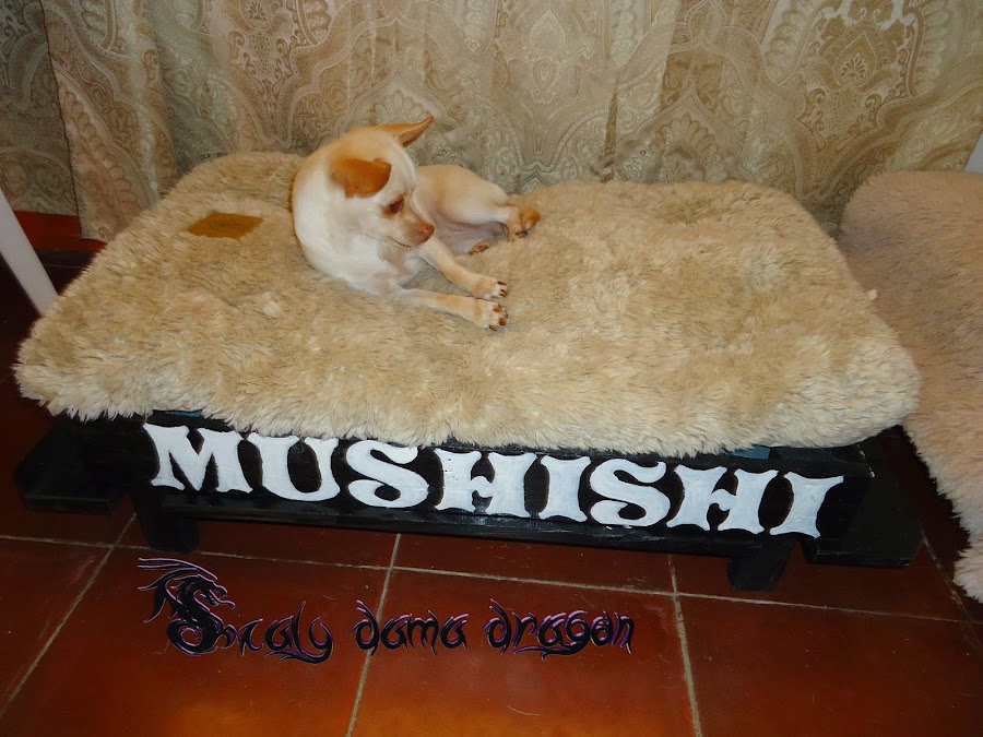 Cómo hacer una cama para perritos con una mesa de madera | Mascotas