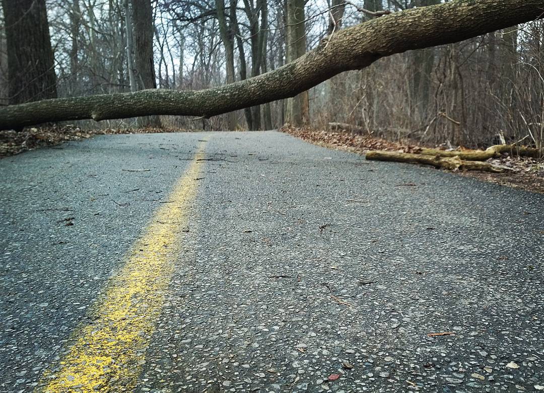 Written Inc. If a tree falls in the forest...