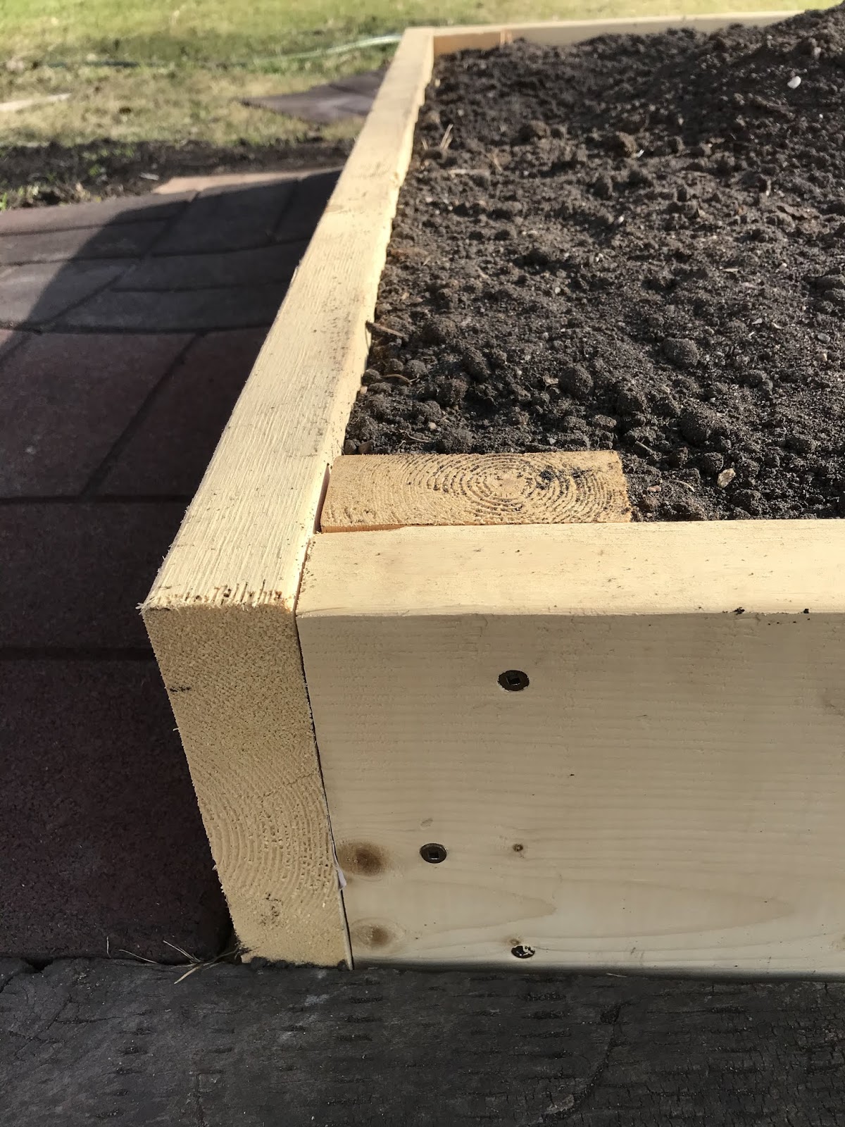 Backyard Garden Make a raised bed from untreated lumber
