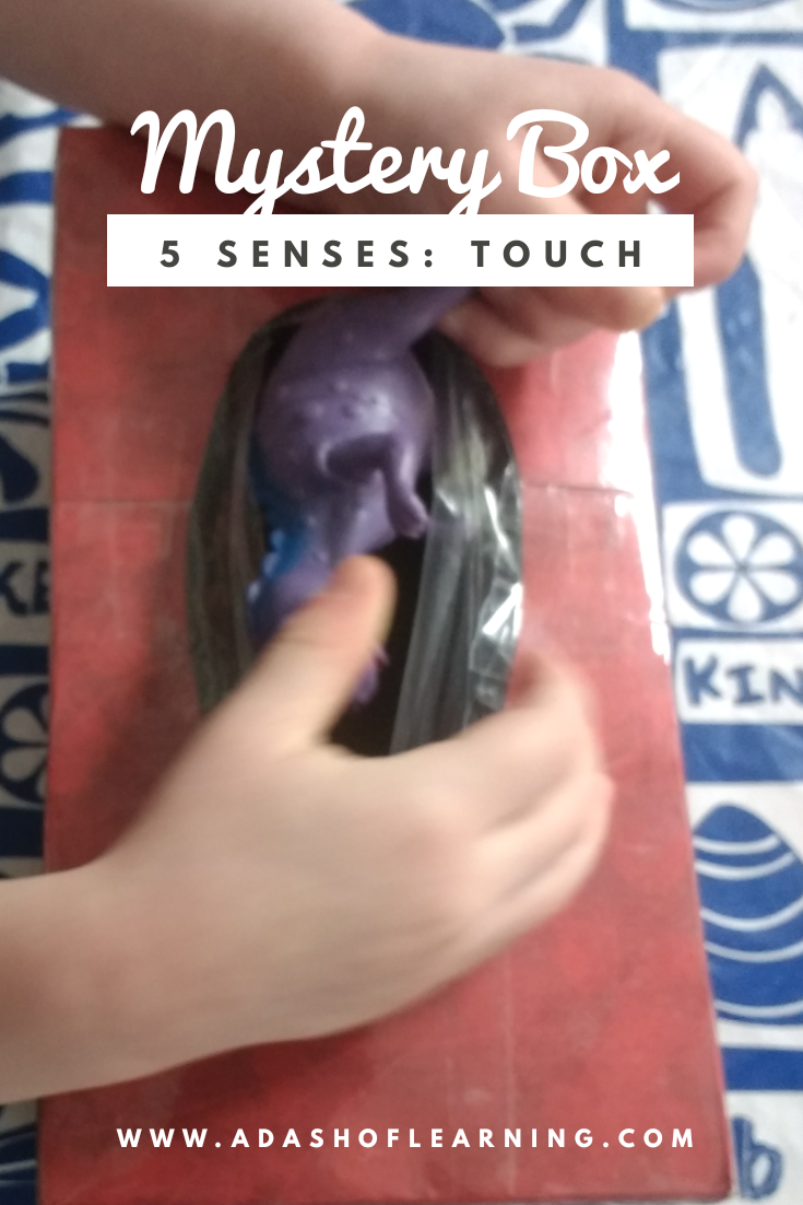 5 Senses Boxes 