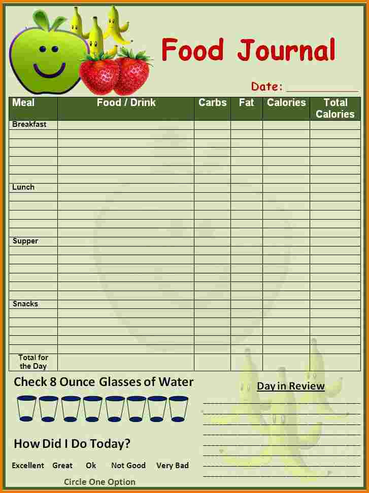 Daily Food Log Free Printable