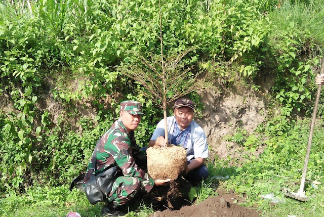 Penghijauan jalan, Pringgasela Timur menuju desa maju dan teduh