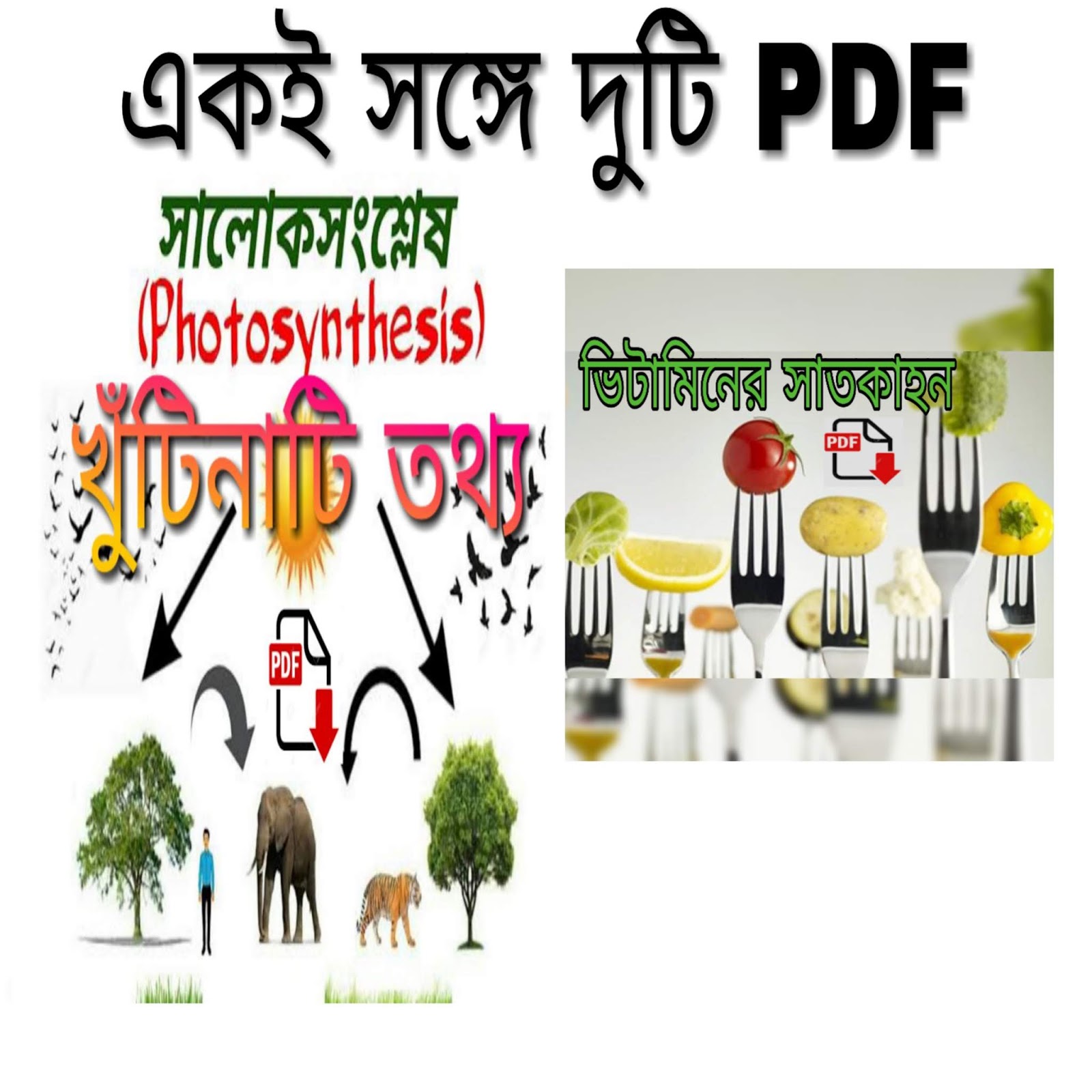 Vitamins Details in Bengali PDF Downloadভিটামিনের রাসায়নিক নাম/কাজ
