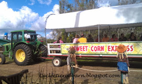 Eclectic Red Barn: Sweet Corn Express at the Long and Scott Farm