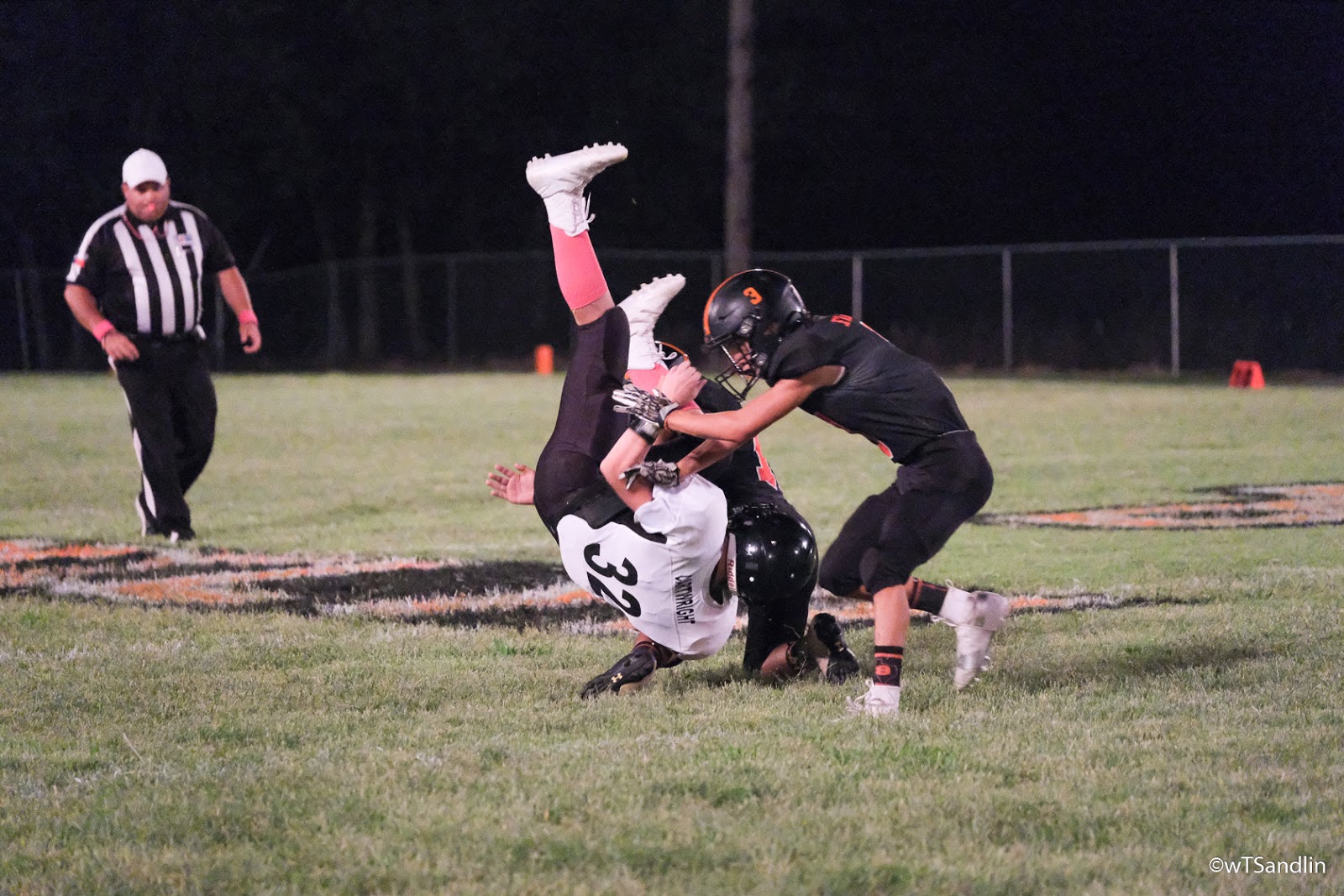 Buckholts Info Badger 2019