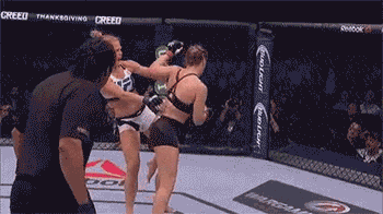 ronda-rousey-gets-knocked-out.gif