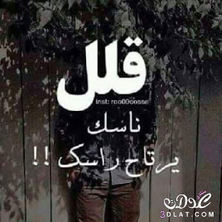 3dlat.net_23_17_875f_9488bea728c311