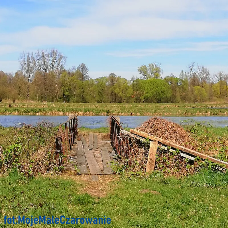 Meandry rzeki Grabi w okolicach Łodzi - Moje Małe Czarowanie - Dorota ...