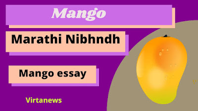 My Favourite fruit Mango Marathi Essay