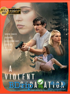 A Violent Separation (2019) BDRIP [1080P] Latino [Google Drive] Panchirulo