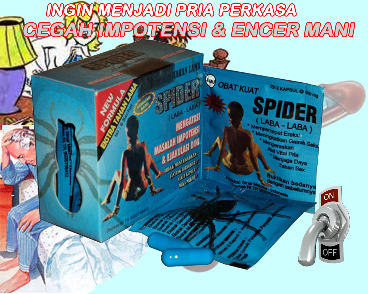 SPIDER KAPSUL Original - TOKO HERBAL 07 KUKU BIMA KAPSUL - OmahJamu.com