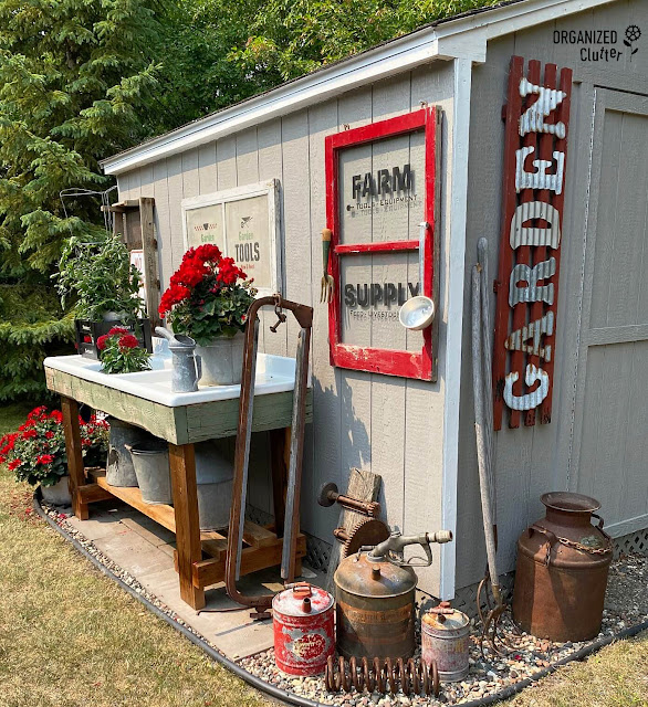 Photo of my garden shed decorated with farm junk and red geraniums