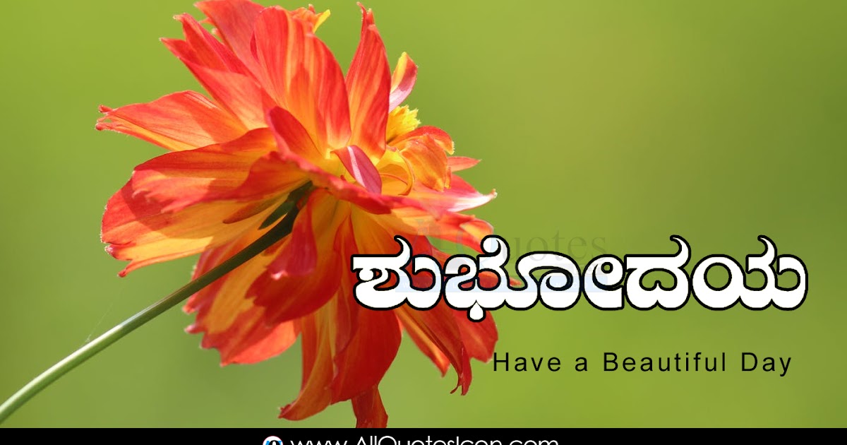 Kannada Good Morning Quotes Images HD Wallpapers Best Life Inspiration