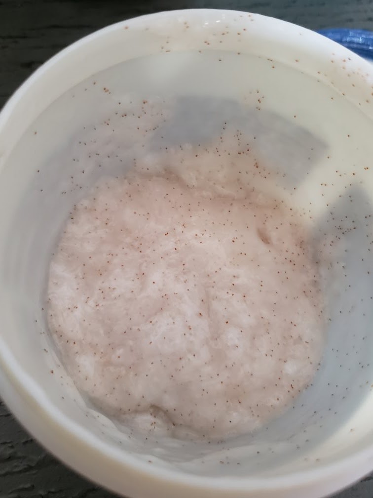 The Best Drugstore Scalp Scrub? L'Oréal Paris EverFresh Micro