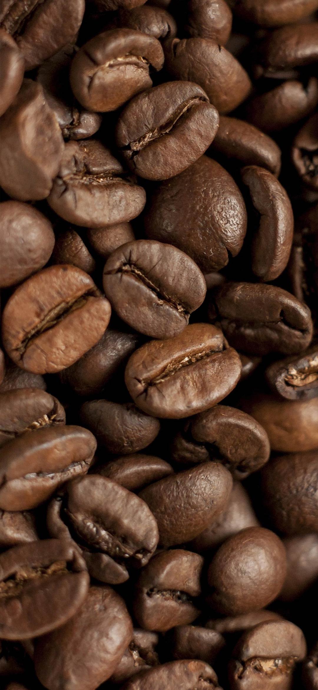 coffee-beans