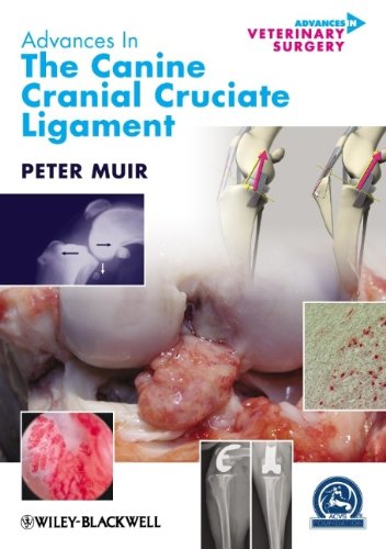 Advances in the Canine Cranial Cruciate Ligament