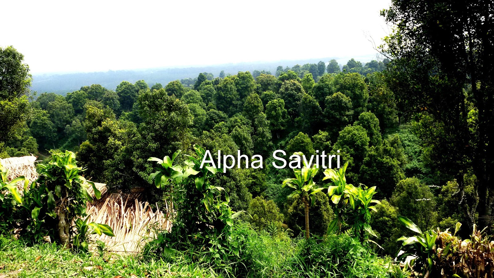 BUKIT TELETUBBIES BLITAR, BAGAI BERKELANA DI NEGERI