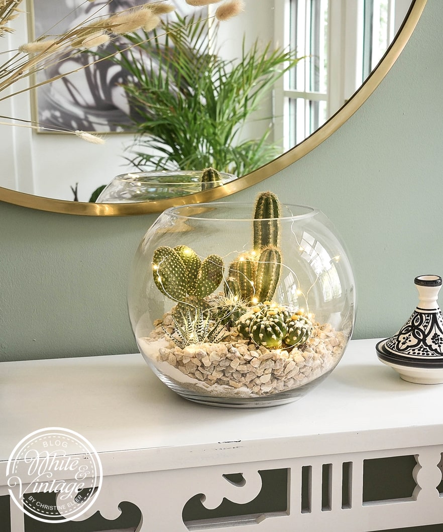 Kaktus-Deko - Kakteen im Glas dekorieren