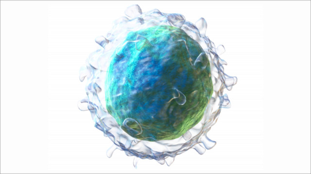 Looking for the source: new routes for allergy treatment Looking for the source: new routes for allergy treatment